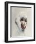 Monkey in White, 2005,-Peter Jones-Framed Giclee Print