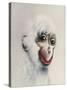 Monkey in White, 2005,-Peter Jones-Stretched Canvas