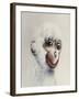 Monkey in White, 2005,-Peter Jones-Framed Giclee Print