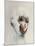 Monkey in White, 2005,-Peter Jones-Mounted Giclee Print