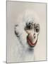 Monkey in White, 2005,-Peter Jones-Mounted Giclee Print