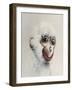 Monkey in White, 2005,-Peter Jones-Framed Giclee Print