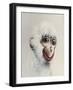 Monkey in White, 2005,-Peter Jones-Framed Giclee Print