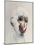 Monkey in White, 2005,-Peter Jones-Mounted Giclee Print