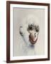 Monkey in White, 2005,-Peter Jones-Framed Giclee Print