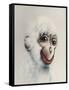 Monkey in White, 2005,-Peter Jones-Framed Stretched Canvas