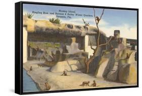 Monkey Island, Circus Quarters, Sarasota, Florida-null-Framed Stretched Canvas