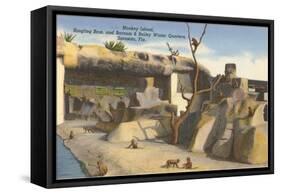 Monkey Island, Circus Quarters, Sarasota, Florida-null-Framed Stretched Canvas