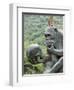 Monkey Island Research Park, Hainan Province, China-Kober Christian-Framed Premium Photographic Print