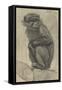 Monkey on a Branch, 1879-August Allebe-Framed Stretched Canvas