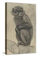 Monkey on a Branch, 1879-August Allebe-Stretched Canvas