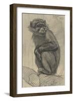 Monkey on a Branch, 1879-August Allebe-Framed Art Print