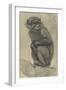 Monkey on a Branch, 1879-August Allebe-Framed Art Print