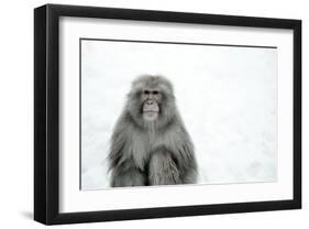 Monkey on Hot Spring Ground-Takashi Kirita-Framed Art Print