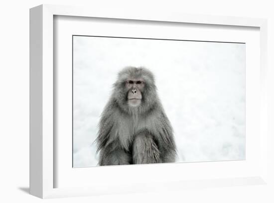 Monkey on Hot Spring Ground-Takashi Kirita-Framed Art Print