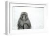 Monkey on Hot Spring Ground-Takashi Kirita-Framed Art Print
