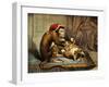 Monkey Physician Examining Cat for Fleas-Science Source-Framed Giclee Print
