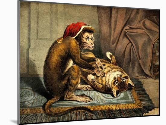 Monkey Physician Examining Cat for Fleas-Science Source-Mounted Giclee Print