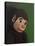 Monkey Portrait on Green, 2005,-Peter Jones-Stretched Canvas