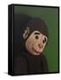 Monkey Portrait on Green, 2005,-Peter Jones-Framed Stretched Canvas