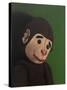 Monkey Portrait on Green, 2005,-Peter Jones-Stretched Canvas