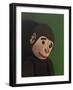 Monkey Portrait on Green, 2005,-Peter Jones-Framed Giclee Print