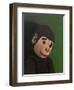 Monkey Portrait on Green, 2005,-Peter Jones-Framed Giclee Print