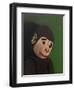 Monkey Portrait on Green, 2005,-Peter Jones-Framed Giclee Print