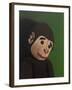 Monkey Portrait on Green, 2005,-Peter Jones-Framed Giclee Print