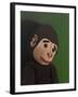 Monkey Portrait on Green, 2005,-Peter Jones-Framed Giclee Print