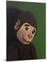 Monkey Portrait on Green, 2005,-Peter Jones-Mounted Giclee Print