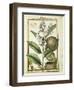 Monkey Pot Nut (Lecythis Minor), Watercolour by Delahaye, 1789-null-Framed Giclee Print