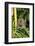 Monkey, Pulau Pangkor (Pangkor Island), Perak, Malaysia, Southeast Asia, Asia-Jochen Schlenker-Framed Photographic Print