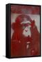 Monkey Punches-Whoartnow-Framed Stretched Canvas