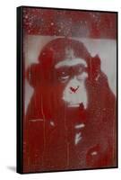 Monkey Punches-Whoartnow-Framed Stretched Canvas