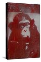 Monkey Punches-Whoartnow-Stretched Canvas