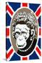 Monkey Queen Union Jack Graffiti-null-Stretched Canvas