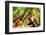 Monkey Reserve, Johannesburg, South Africa, Africa-Laura Grier-Framed Photographic Print