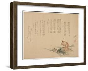 Monkey Riding on a Turtle, C.1818-29-Kagyo-Framed Giclee Print