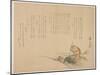 Monkey Riding on a Turtle, C.1818-29-Kagyo-Mounted Giclee Print