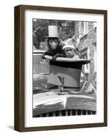 Monkey's at Kilverstone Wildlife Park 1983-Arthur Sidey-Framed Photographic Print