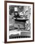 Monkey's at Kilverstone Wildlife Park 1983-Arthur Sidey-Framed Photographic Print