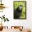 Monkey Selfie-David Slater-Framed Photographic Print displayed on a wall