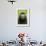 Monkey Selfie-David Slater-Framed Photographic Print displayed on a wall