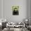 Monkey Selfie-David Slater-Mounted Premium Photographic Print displayed on a wall