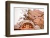 Monkey Sitting in Abandoned Cistern, Jaipur, Rajasthan, India, Asia-Laura Grier-Framed Photographic Print