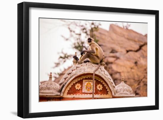 Monkey Sitting in Abandoned Cistern, Jaipur, Rajasthan, India, Asia-Laura Grier-Framed Photographic Print