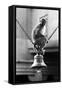 Monkey Sitting on a Durga Temple Bell, Varanasi, Uttar Pradesh, India, 1982-null-Framed Stretched Canvas