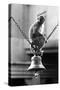 Monkey Sitting on a Durga Temple Bell, Varanasi, Uttar Pradesh, India, 1982-null-Stretched Canvas