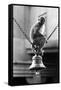 Monkey Sitting on a Durga Temple Bell, Varanasi, Uttar Pradesh, India, 1982-null-Framed Stretched Canvas